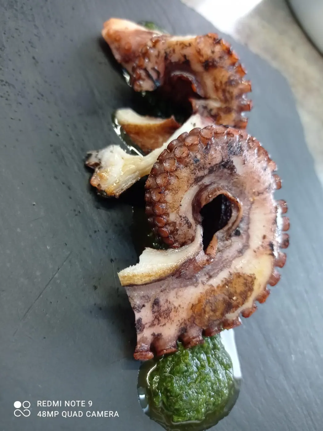 Tentacolo di polpo alla piastra — Sikania